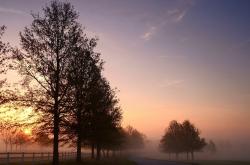 开云体育官网-三把利刃，一锤定音！陶汉林统治内线助篮网轻取猛龙