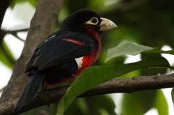 开云体育平台APP-马赛的钢铁之心，当阿圭罗一肩扛起整个韦洛德罗姆球场