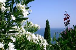 开云体育登录-凯塞多，贯穿战场的引擎，希腊奇迹撕裂巴萨神话