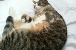 开云体育登录-窒息时刻！五公分的永生，猛龙最后一投背后的生死抉择