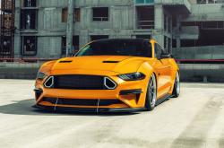 开云体育官网-绿茵双重奏，铁血意志与冷静艺术的胜利交响