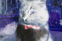 开云体育在线-卢卡库重炮击穿防线，对阵几内亚一役，他如何上演统治级个人秀？