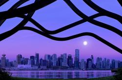 开云体育登录-法老之刃刺穿白色神话，本泽马在开罗之夜加冕关键先生