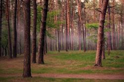 开云体育平台APP-世界排名争夺战焦点战，拜仁稳稳拿下曼城，德国足球雄风再起