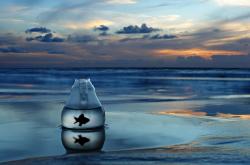 开云sport-布伦森里程碑之夜，快船狂胜热火当个人辉煌遭遇集体碾压，篮球哲学在此刻碰撞