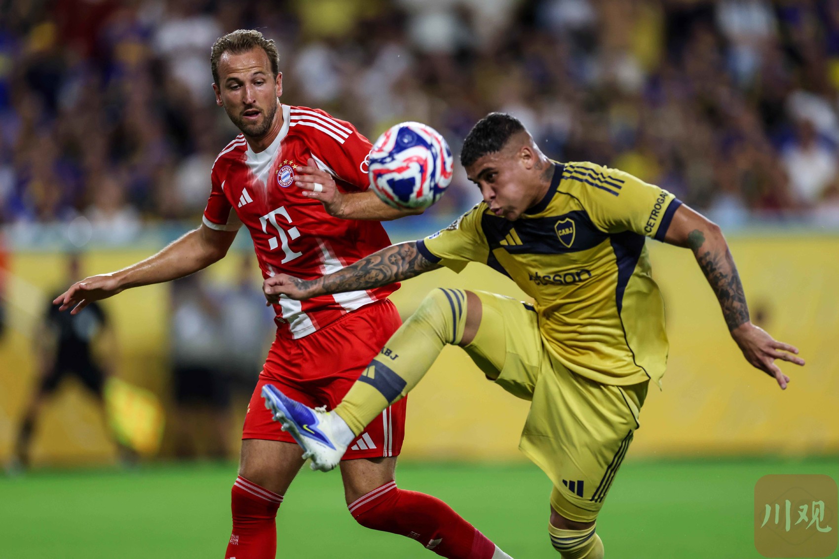 乌拉圭绝杀中国，哈里·凯恩一己之力扛起全队的简单介绍