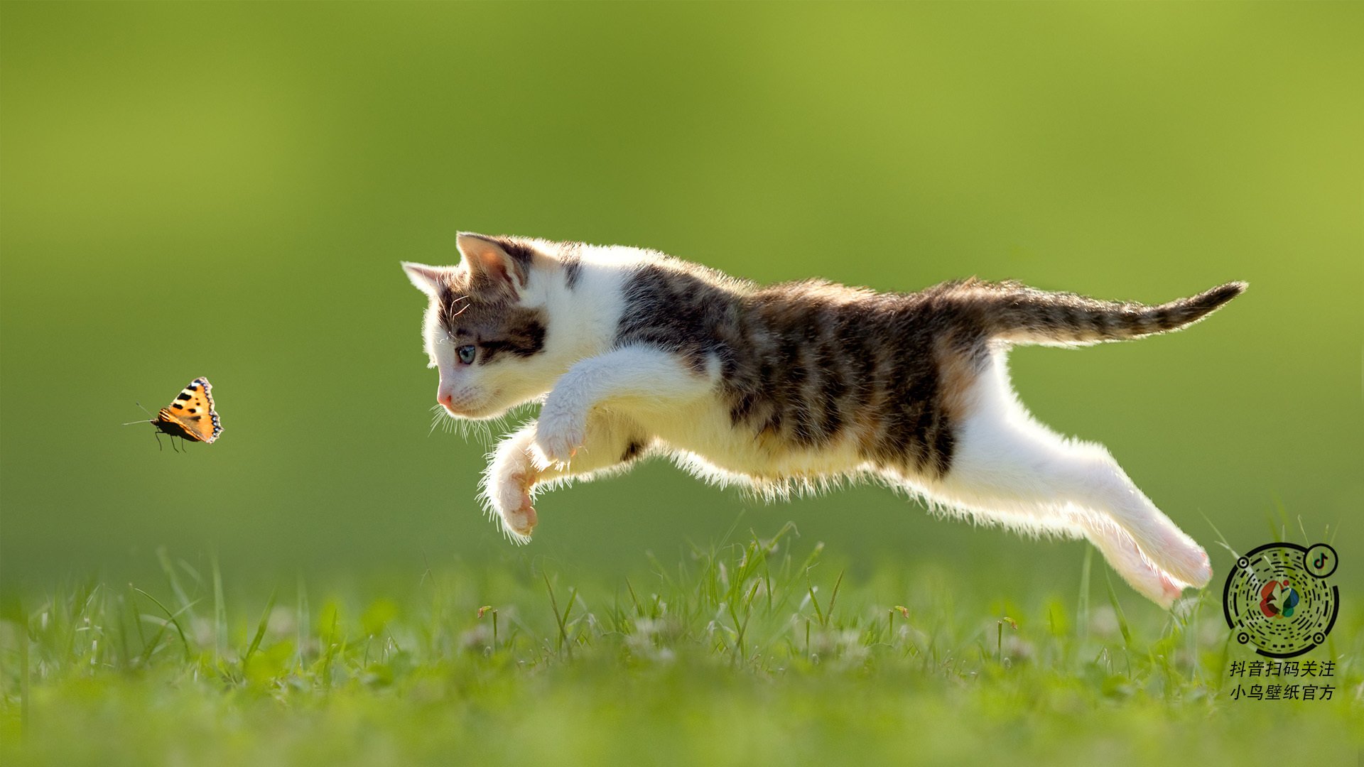 当东方紫禁城照亮洛杉矶夜空，米切尔扛旗，北京队轻取快船的颠覆之战