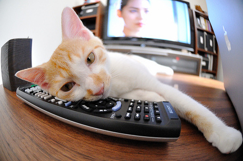 冷门与传奇，索伯的银石奇袭与阿隆索不老的华丽证词