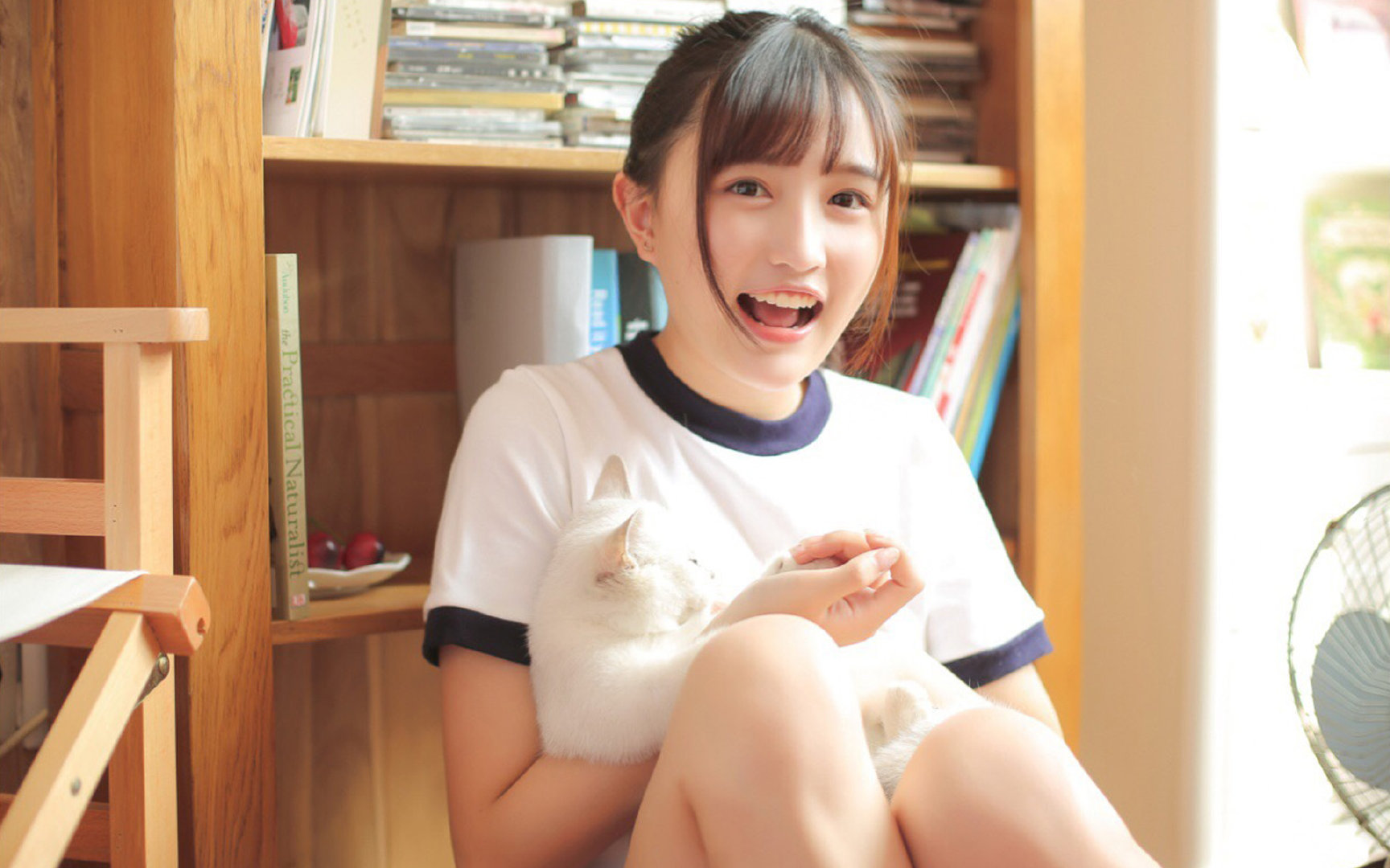 流星划过塔罗牌之夜，皮亚斯特里如何用一场横扫改写了F1的权力隐喻