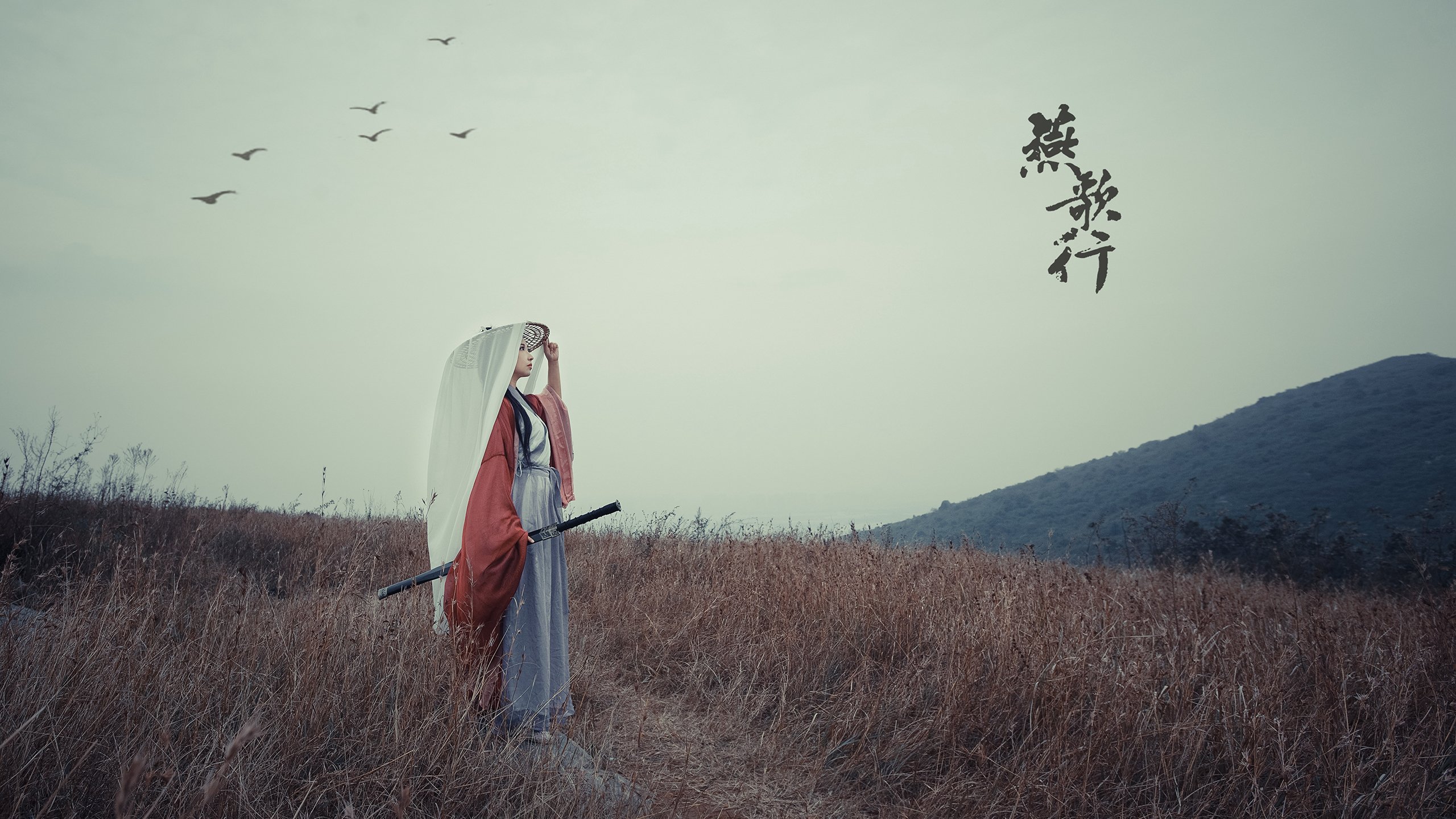 银箭破雾，新星灼夜，梅赛德斯战术制胜威廉姆斯，皮亚斯特里诠释火热定义