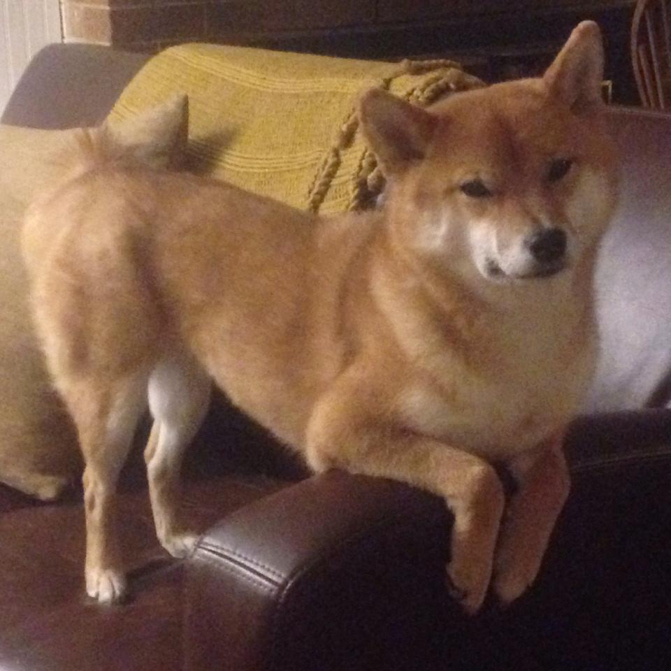 平行时空崩塌夜,当乌拉圭国家队横扫切尔西,哈兰德成了那个改写规则的人