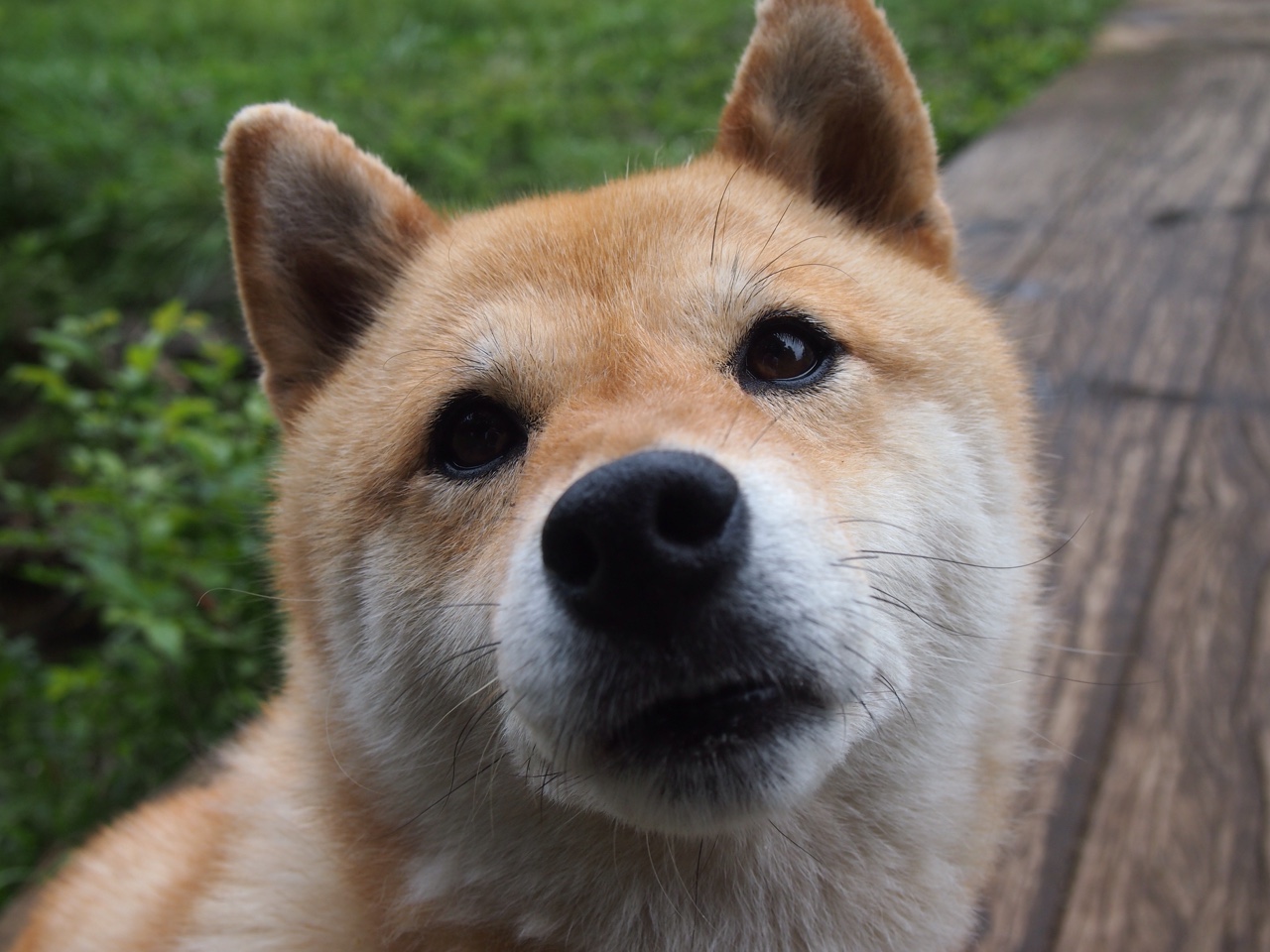 巅峰对决!委内瑞拉力克几内亚,门迪数据全面爆炸成胜负关键