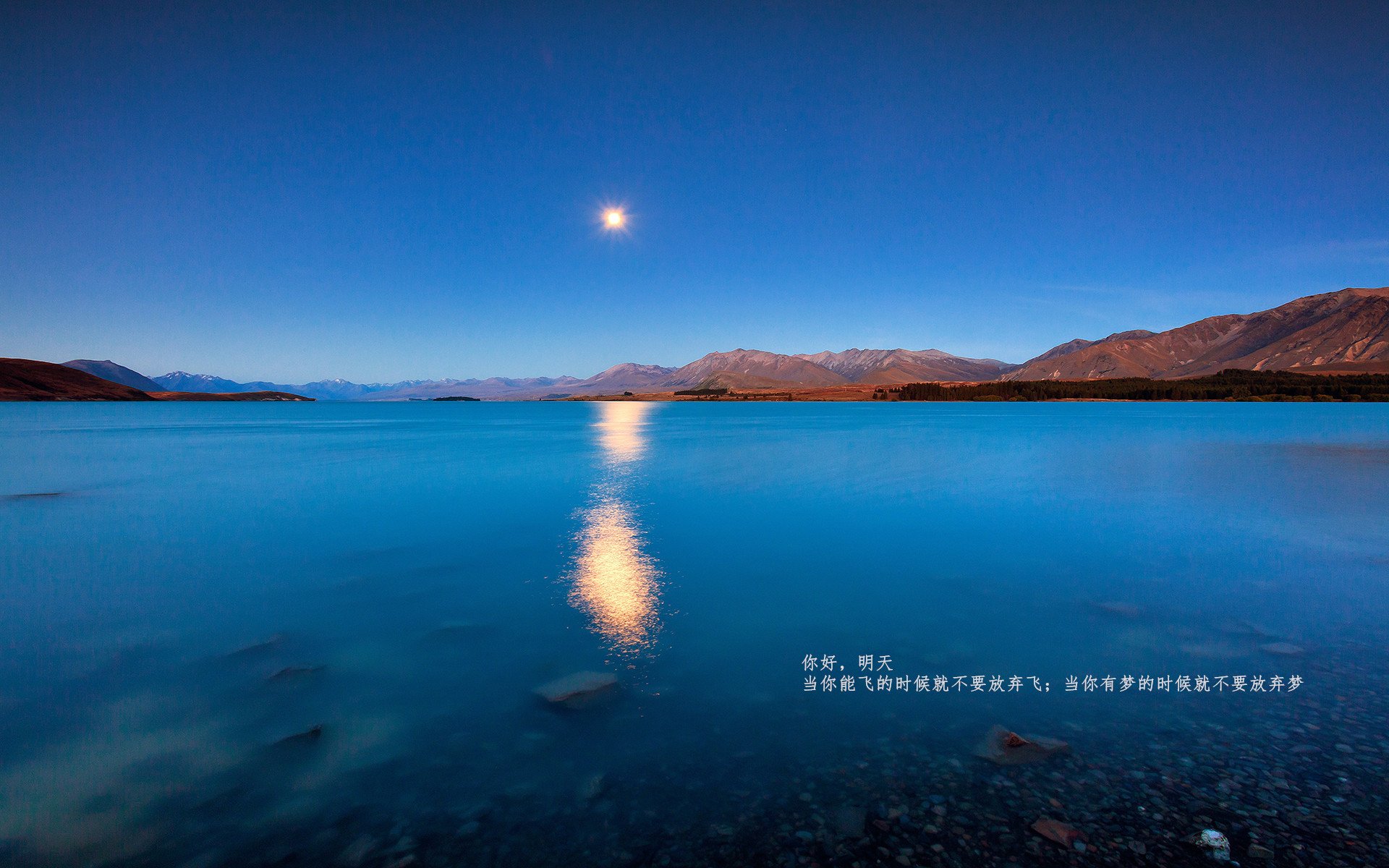火山喷发,冰与火的交锋,当北欧战吼击穿沙漠壁垒,努涅斯化身关键先生