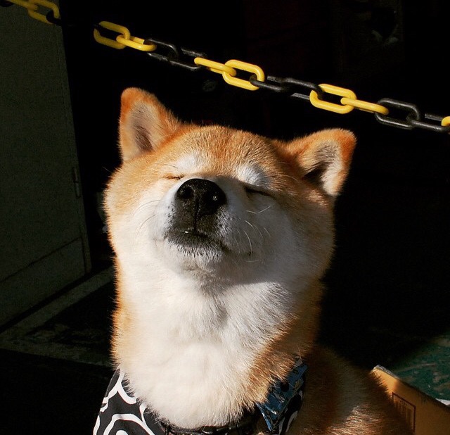 逆转的意志，从NBA西决生死战到绿茵场上的爱尔兰奇迹