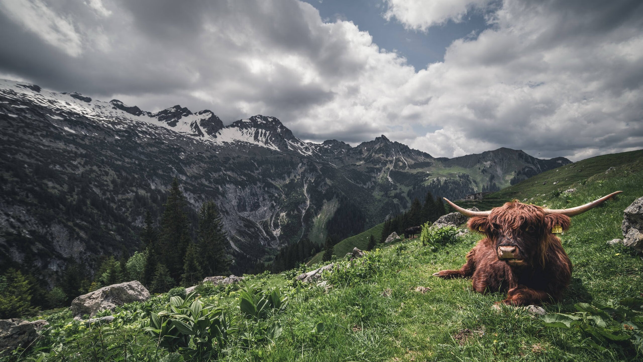代码交错，当篮网强压快船，詹姆斯在德甲争冠战接管比赛
