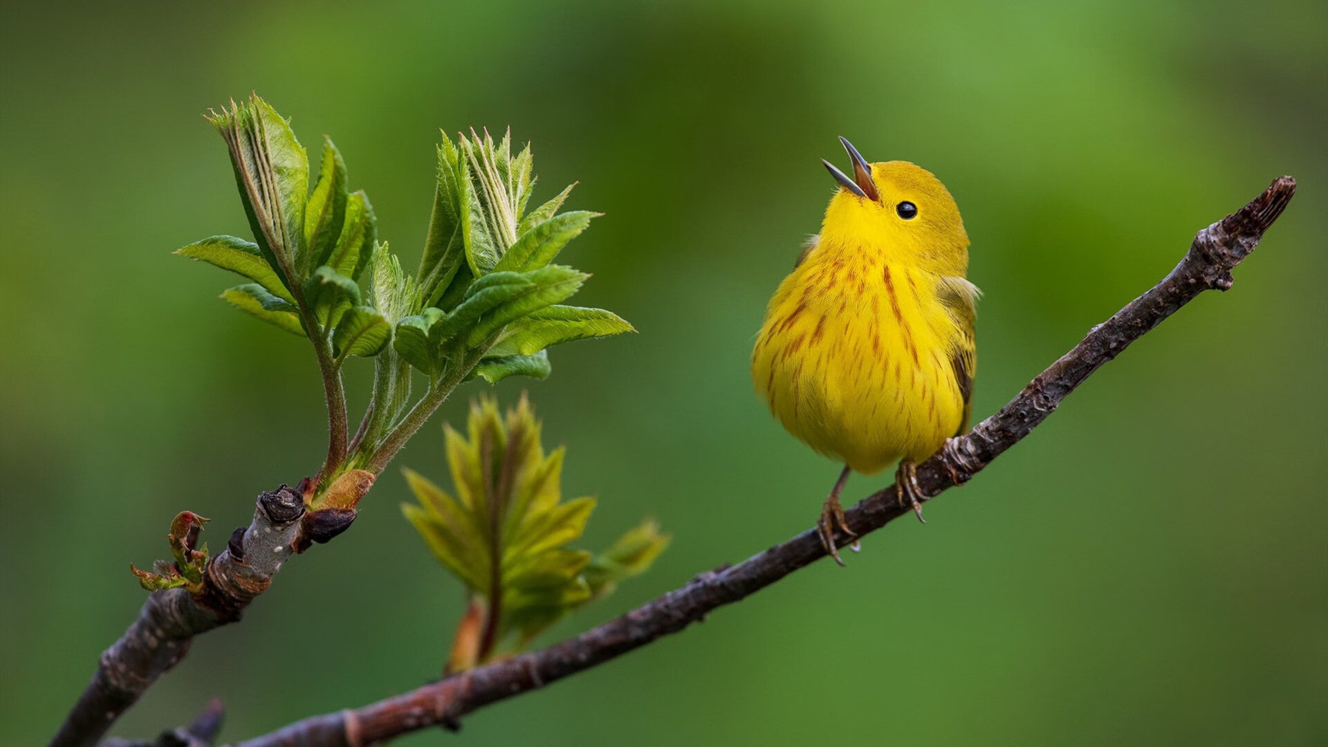 唯一性的夜晚，奥运周期关键战，乔治的三张纸条与一座里程碑