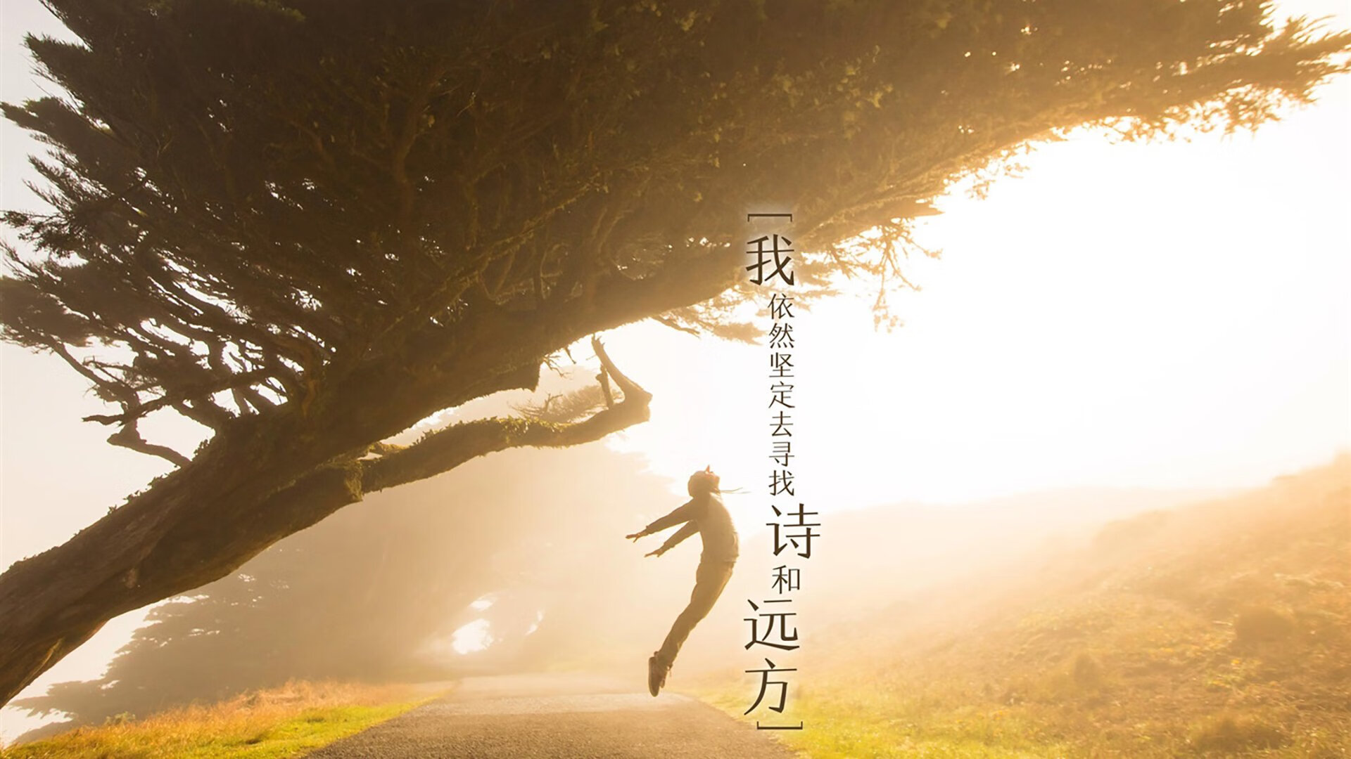 毕尔巴鄂雨夜的记忆,与伦敦城的新王