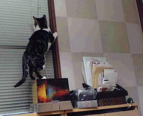 暗夜淬刃,斯通斯于奥运烽火前的冠军证言