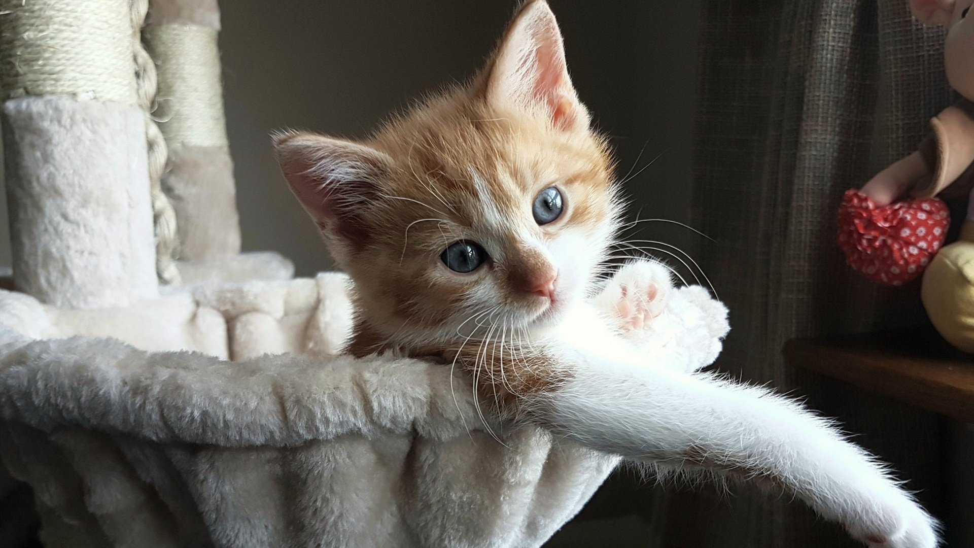 三分王朝,罗德里在96秒内完成的现代篮球最残酷谋杀