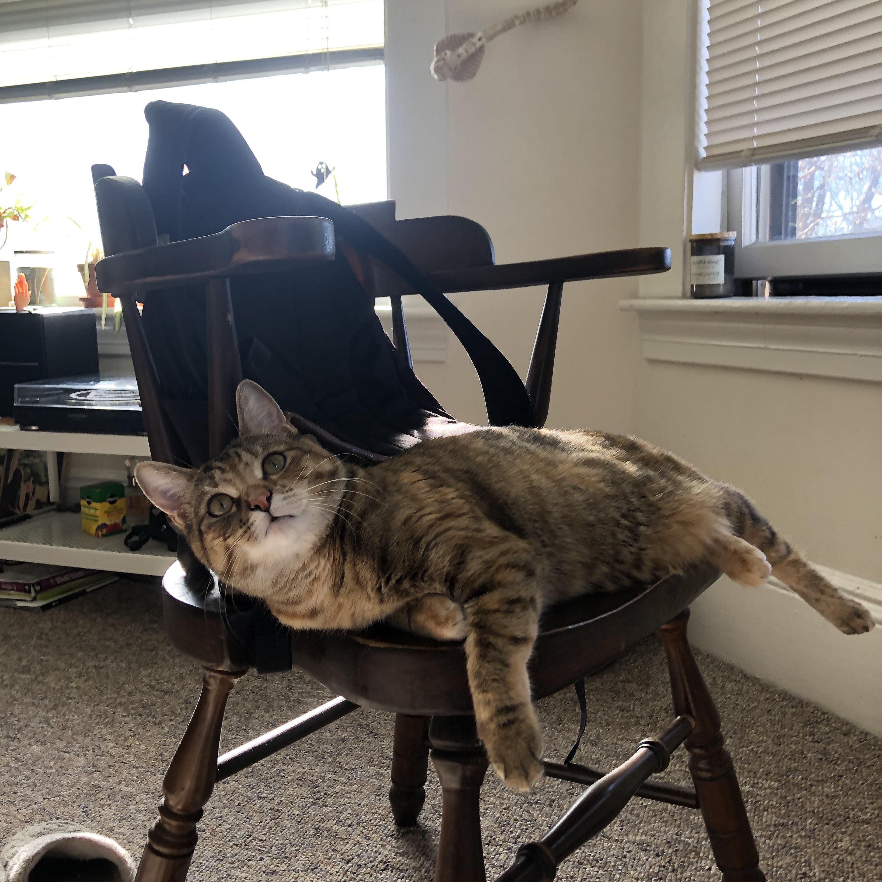 冰岛强压德国创冷门，莱万焦点战破质疑—足球世界的双重震撼