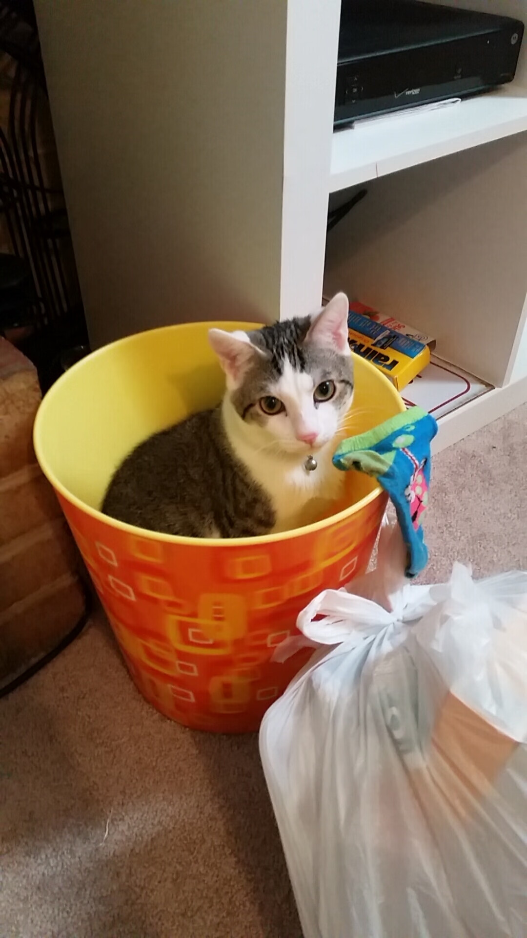 横跨太平洋的封锁，一场NBA总决赛如何映射世界的对抗与连接