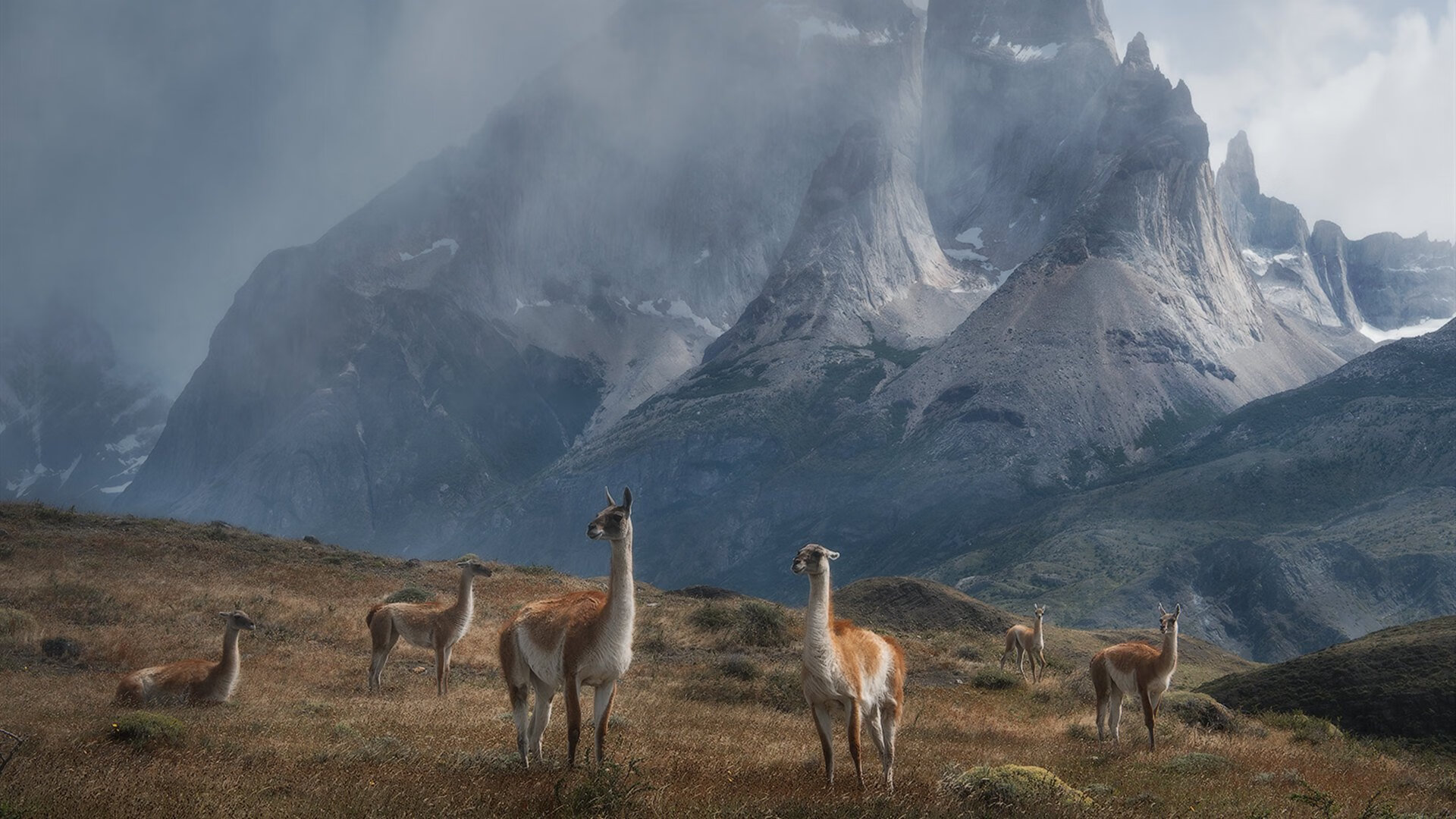 127秒,从喧嚣到死寂,努涅斯在分秒之间接管欧冠决赛