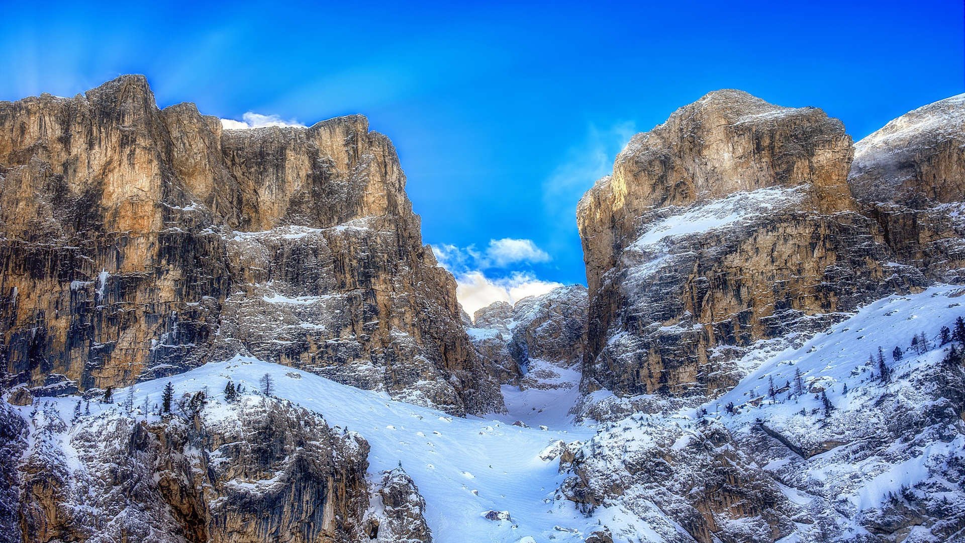 谋略与锋芒,葡萄牙的钢铁森林,与其中绽放的玫瑰