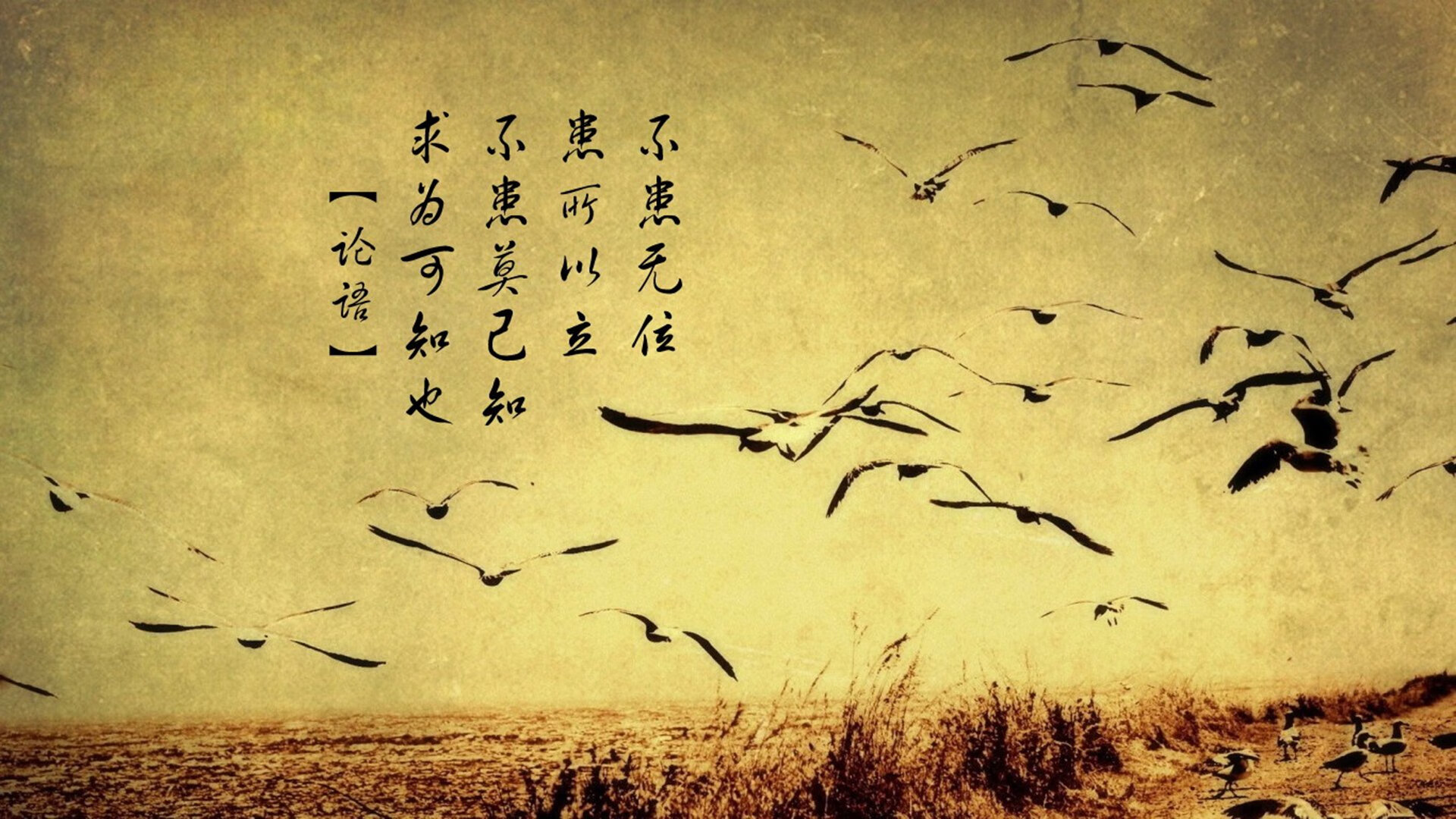 数据与灵魂的对决，当76人拿下辽宁队，塔图姆在季后赛接管比赛