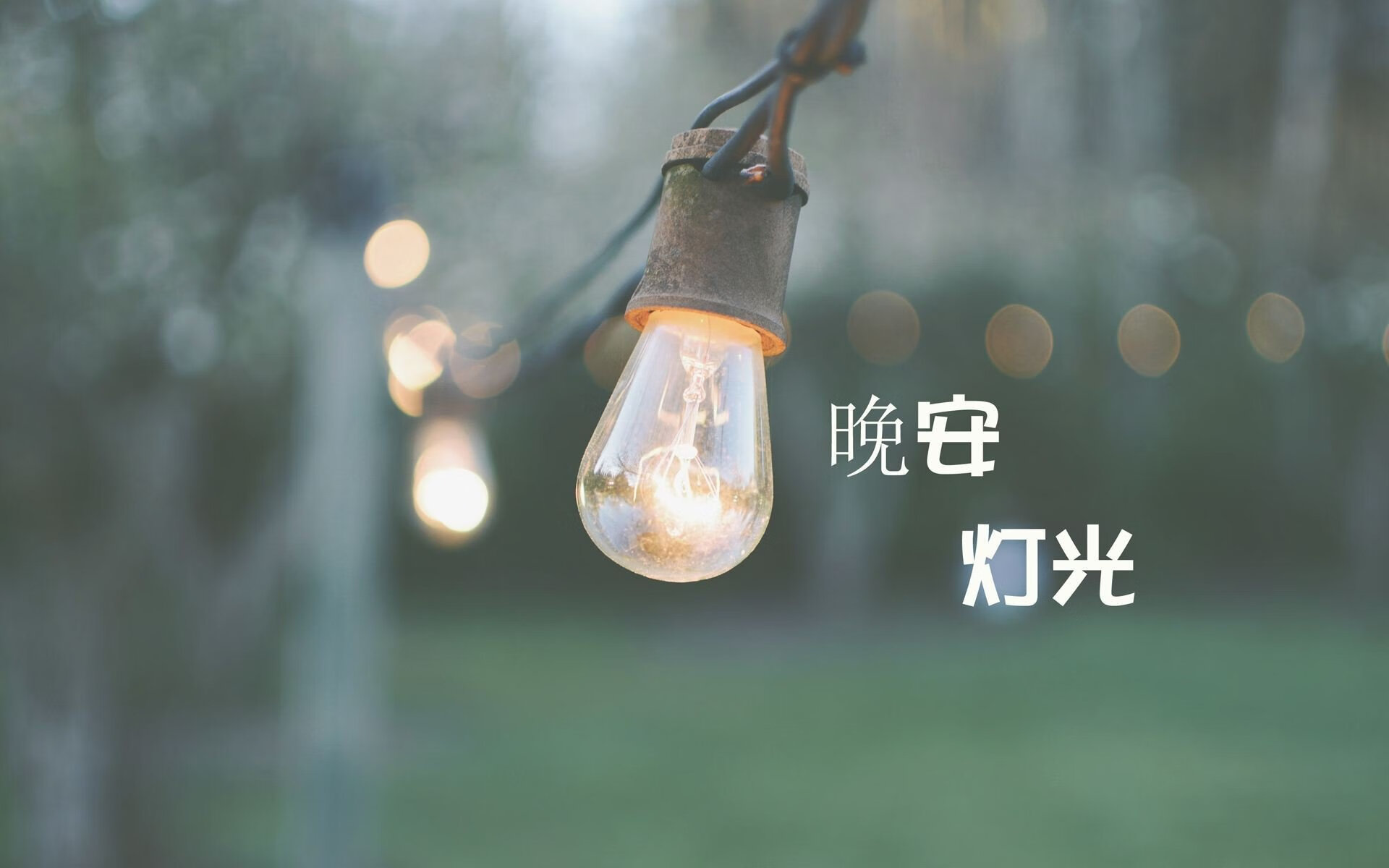 2026世界杯关键战,C罗点射+助攻,保加利亚碾压捷克,传奇再续新篇