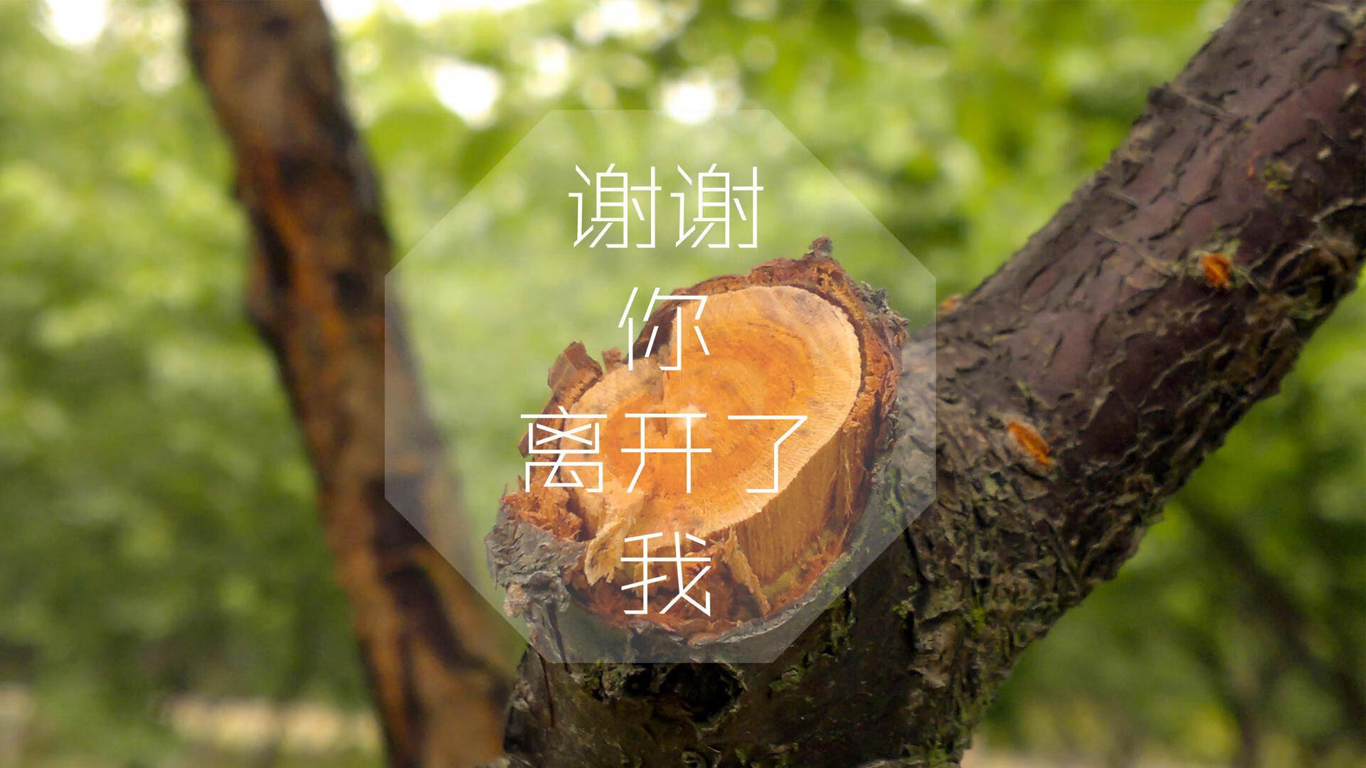 节奏为王,2026世界杯B组焦点战,拉什福德用唯一性撕裂伊朗铁骑—一场关于掌控与意志的完美教案