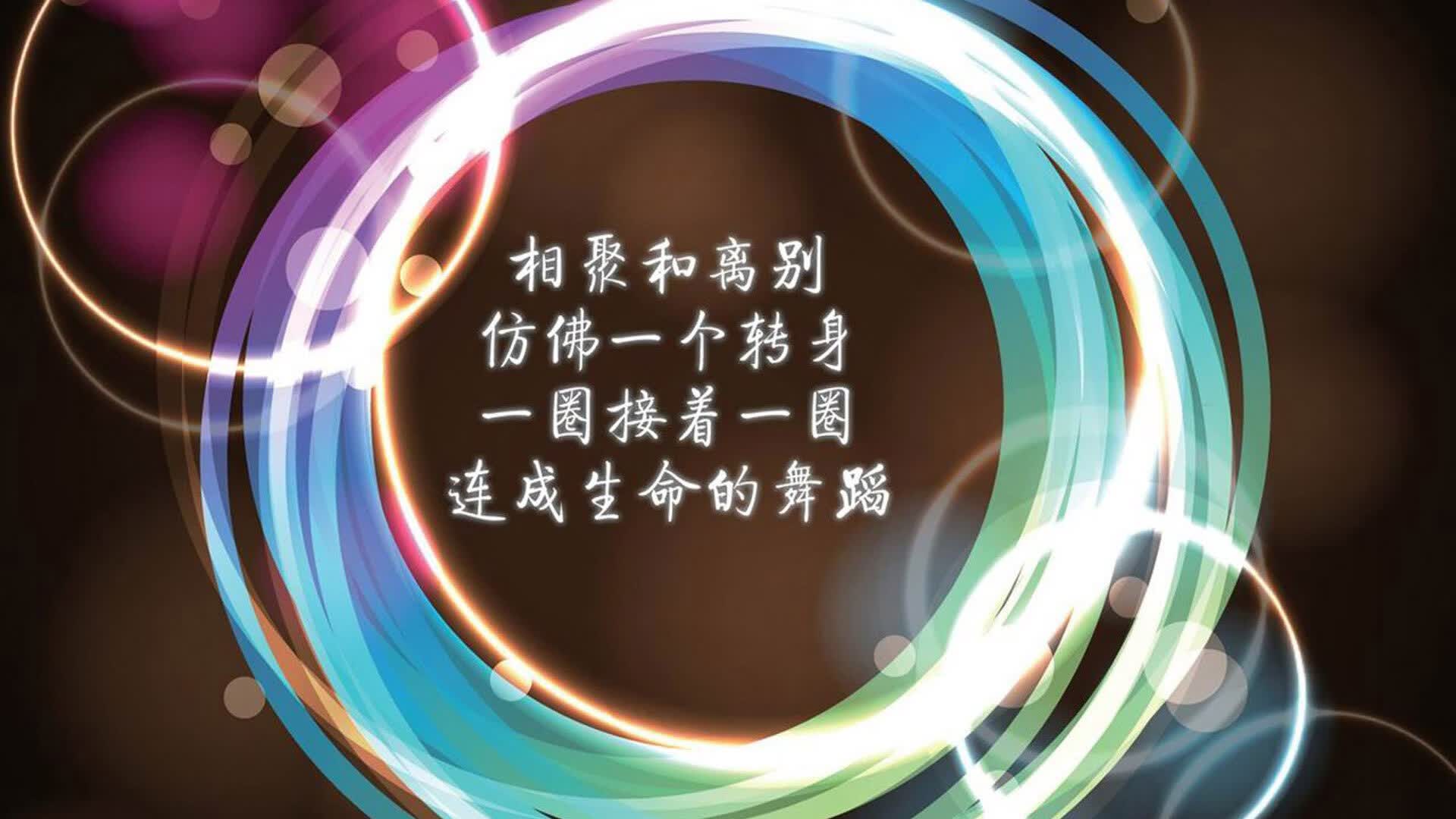 凯恩的阴影与东欧铁骑的黄昏，2026世界杯D组，一场被唯一性注定的对决